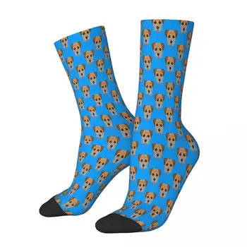 Гранична териер Чорапи в стил Поп-Арт Мъжки Дамски Пролетни Чорапи от Полиестер